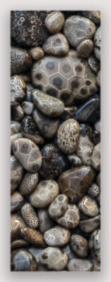 Petoskey Stones Bookmark