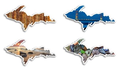 UP Sticker - 4-Pack