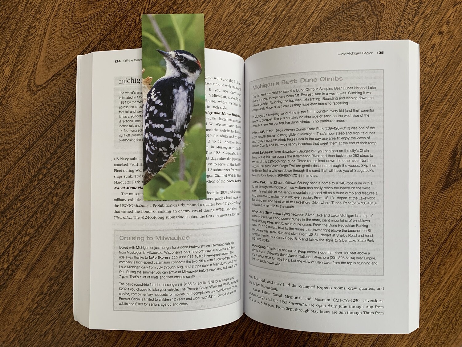 Bird Bookmarks - 4-Pack - FREE SHIPPING!