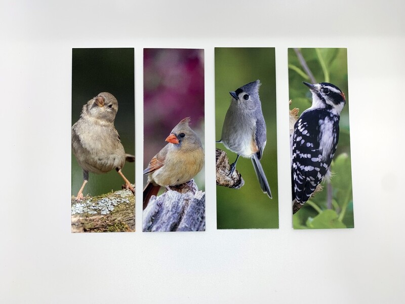 Bird Bookmarks - 4-Pack - FREE SHIPPING!