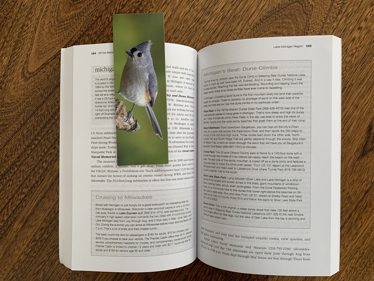 Bird Bookmarks - 4-Pack - FREE SHIPPING!