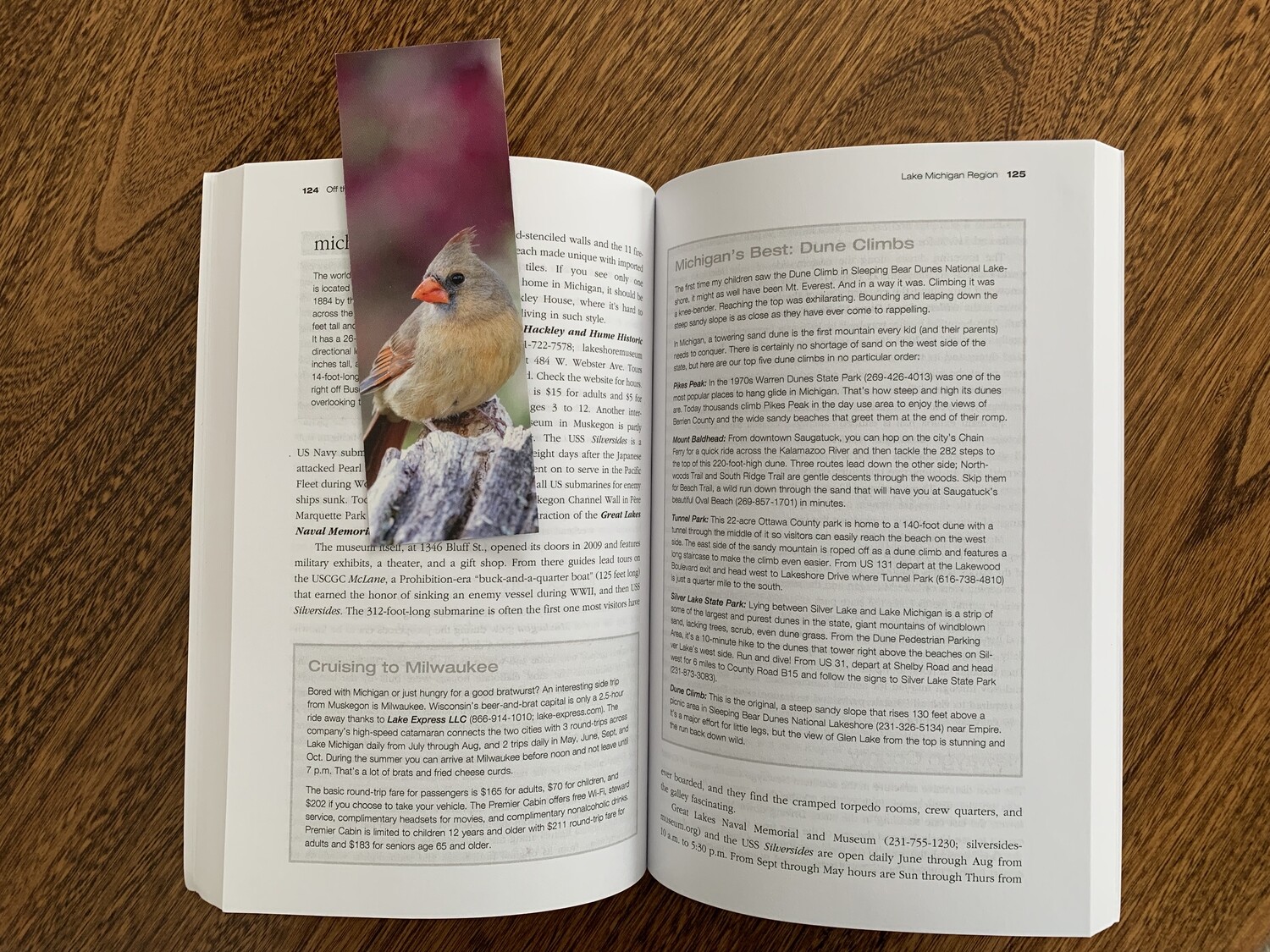 Bird Bookmarks - 4-Pack - FREE SHIPPING!