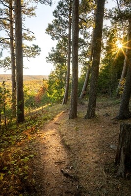 Fine Art Print - Porcupine Mountains Hiking Trail - Michigan Upper Peninsula