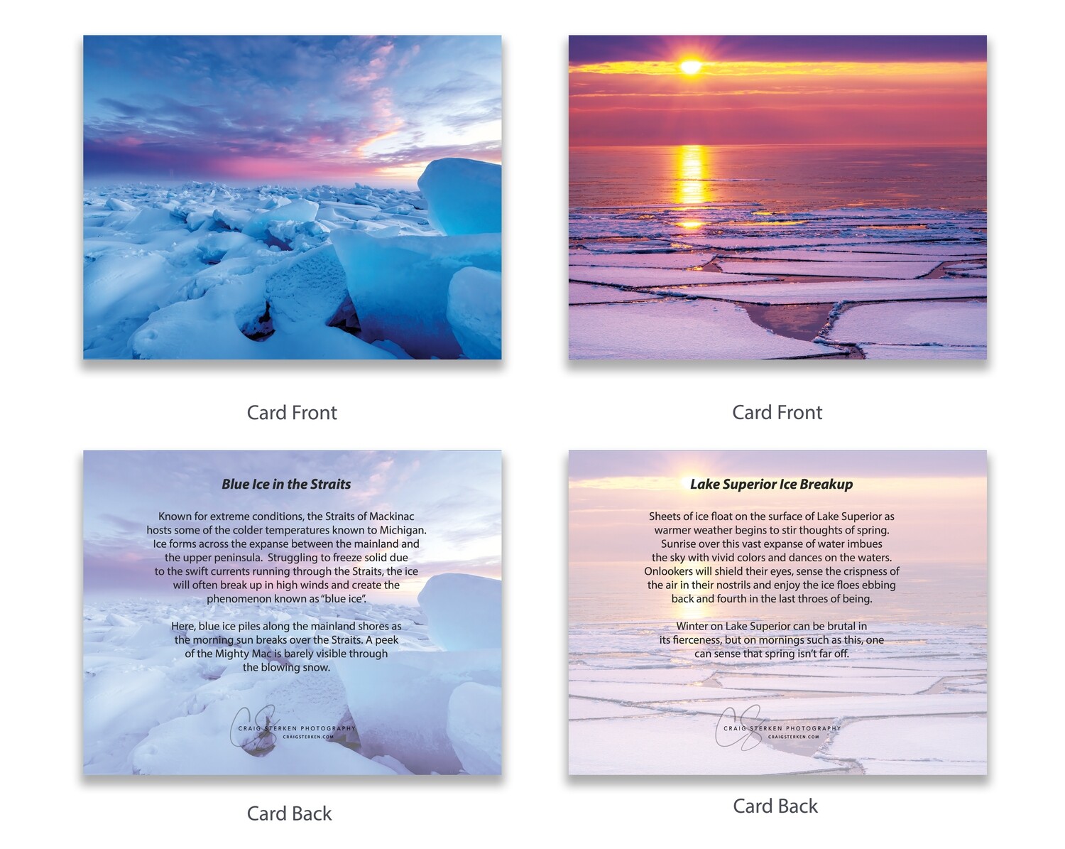 Michigan Winter Note Cards - 4-Pack with Free Shipping!