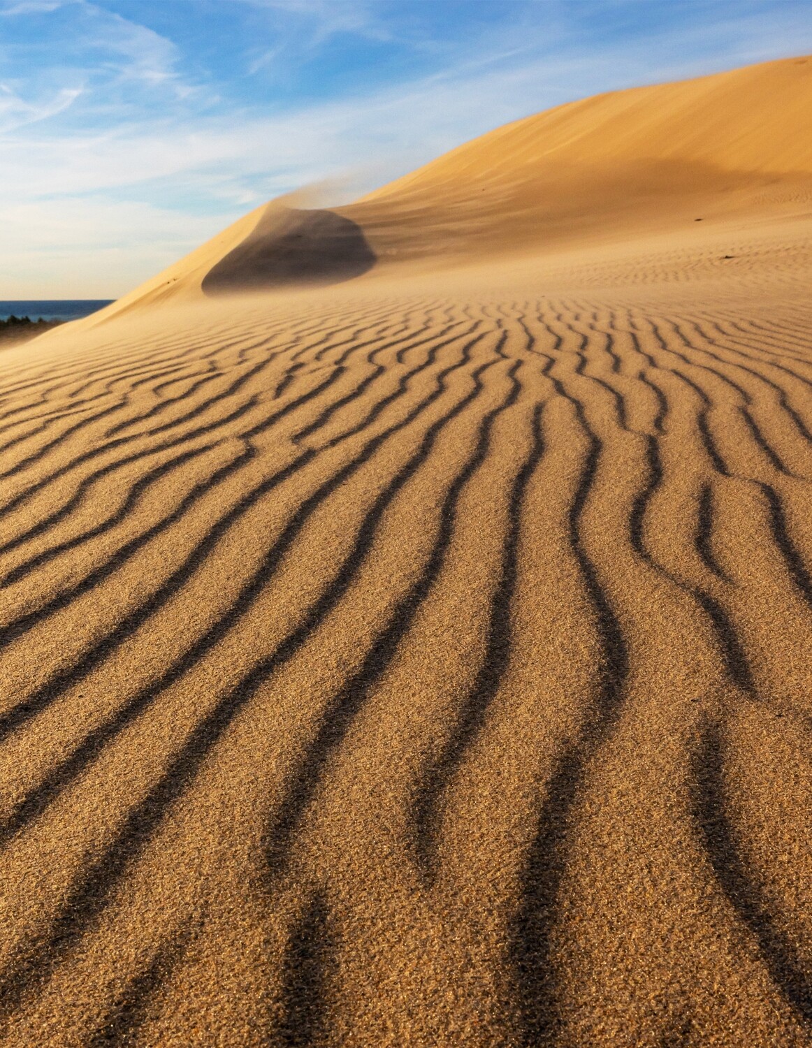 Silver Lake Sand Dunes Note Cards Multi-Pack - FREE SHIPPING