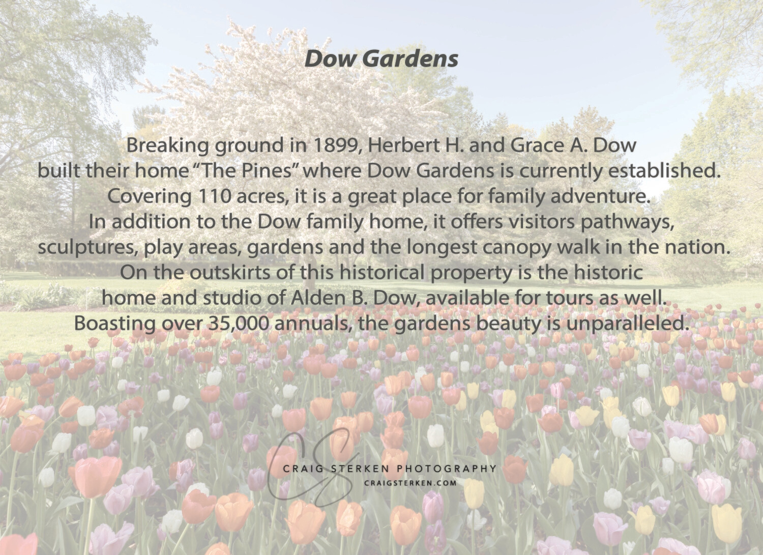 Note Card Multi-Pack - Dow Gardens in Bloom - Free Shipping!