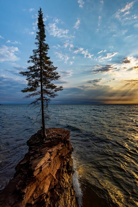 Lone Tree on Lake Superior Shoreline - Michigan Upper Peninsula - Fine Art Print