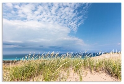 Fine Art Print - Summer Day at Sleeping Bear Dunes along Lake Michigan