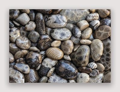 Petoskey Stones Note Card - Blank Inside