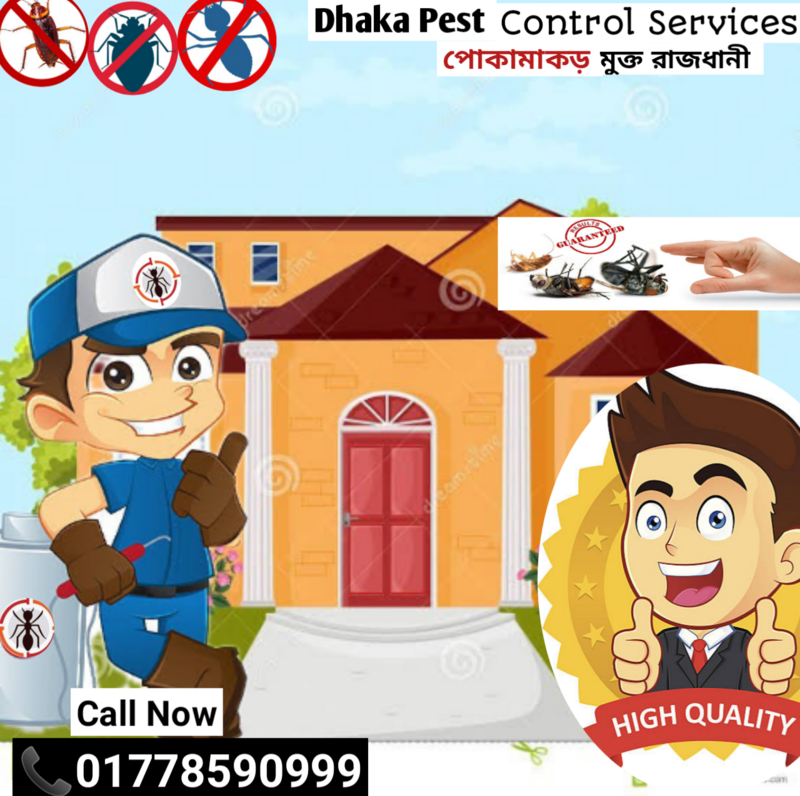 Termite Control Service