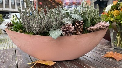 Allerheiligen Pflanzschiffchen in rosa Allerheiligen Pflanzschiffchen in rosa