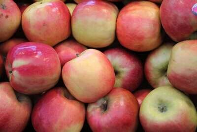 6 PINK LADY APPLES, FISHER OF NEWBURY