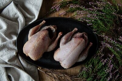 OVEN READY WILD PARTRIDGE, HAMPSHIRE GAME