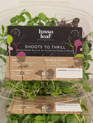 SHOOTS TO THRILL, LUSSO LEAF