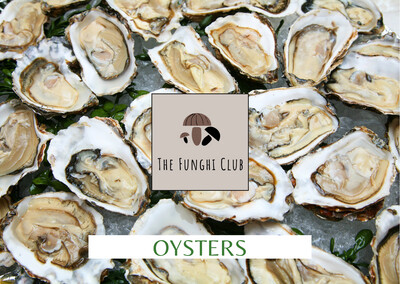 The Funghi Club Oysters