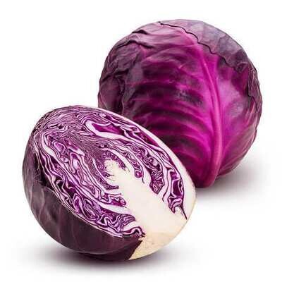 LARGE RED CABBAGE, FISHER OF NEWBURY