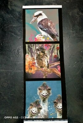 Australian Bird Panel