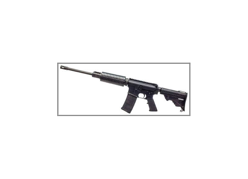 DPMS BUILD