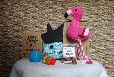 Combo Flamingo para tu peludo 🦩🦩