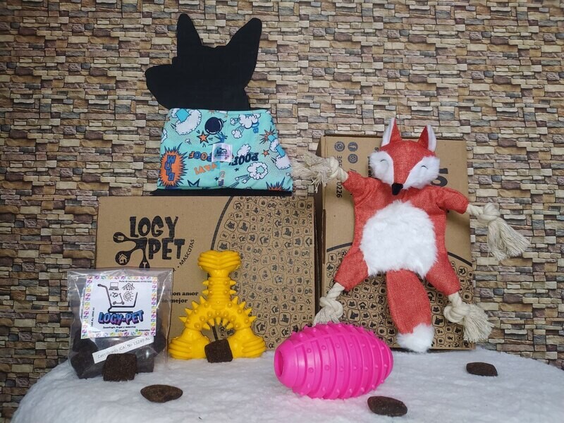Combo Zorro Peludo 🦊🐕‍🦺