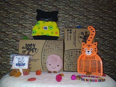 Combo Gatuno Artesanal 😻🎨