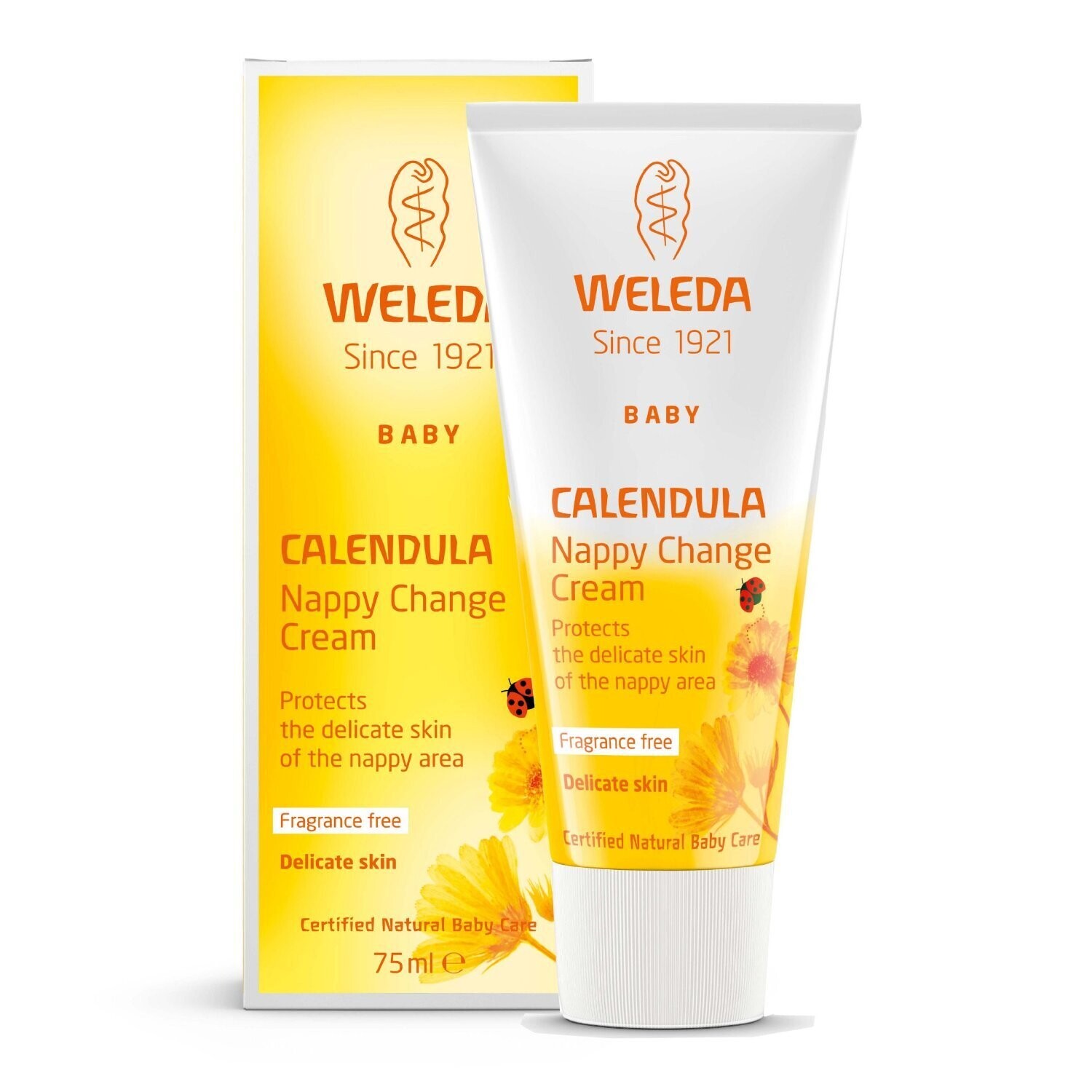 E-commerce Product Image
