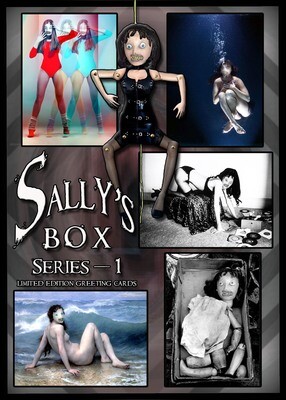 Sally&#39;s Box Series -I