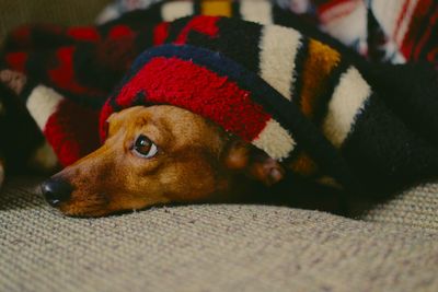 BLANKETS