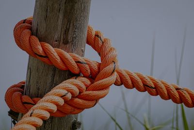 ROPE &amp; PARACORD