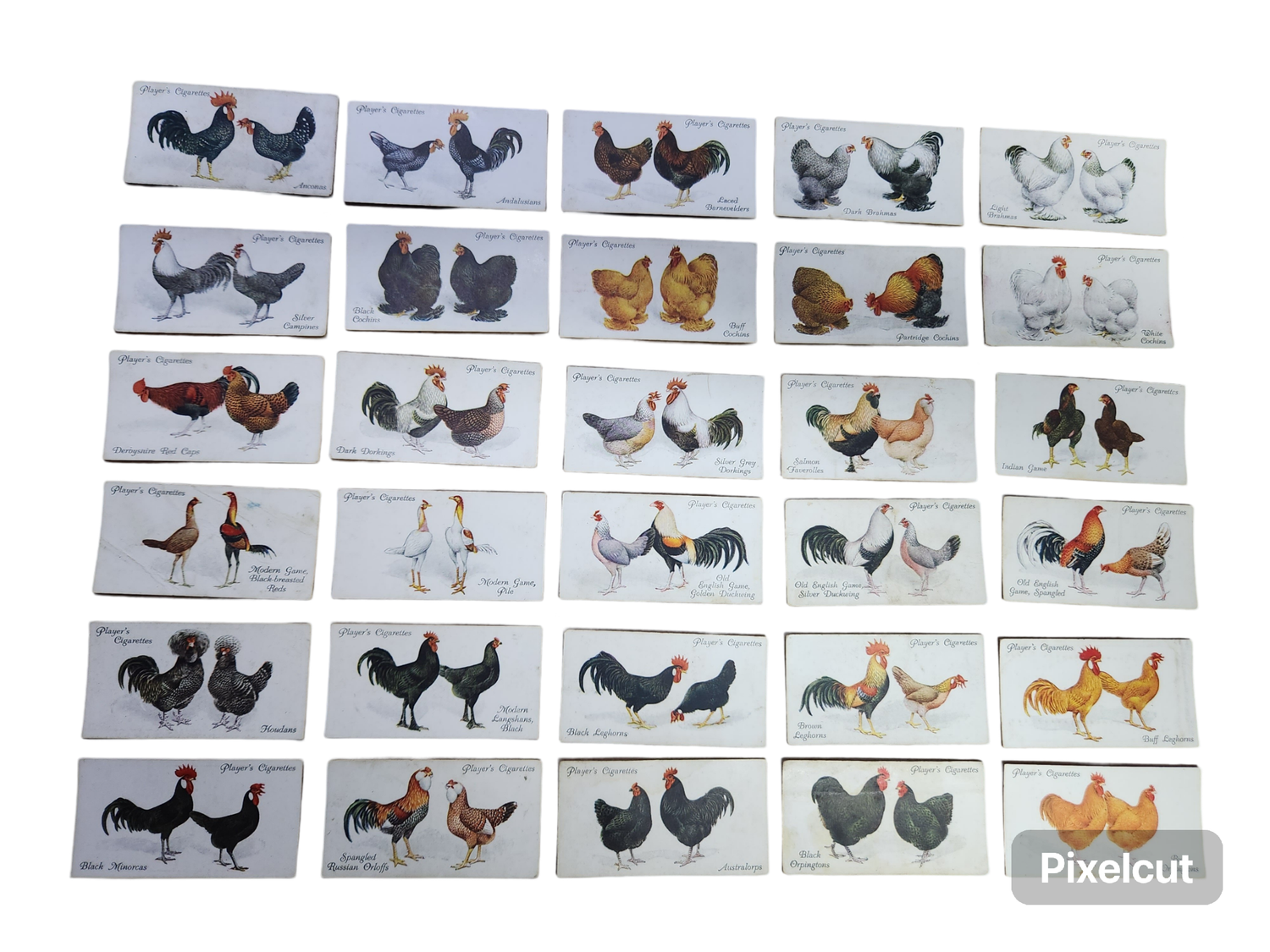 PLAYER&#39;S CIG CARDS: POULTRY (1931)