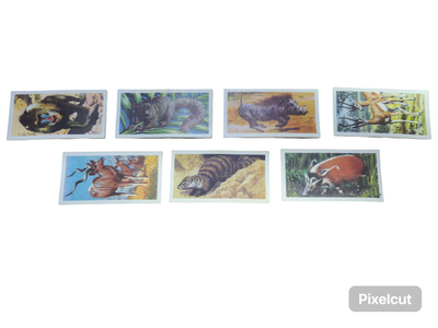 PLAYER&#39;S CIG CARDS: AFRICAN WILDLIFE (1931)