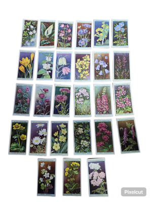 WILLS&#39;S CIG CARD&#39;S: WILD FLOWERS(1936)