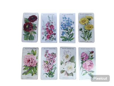 WILLS&#39;S CIG CARD&#39;S: OLD ENGLISH GARDEN FLOWERS(1910)