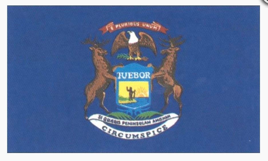 Michigan 3&#39; x5&#39; State Flag