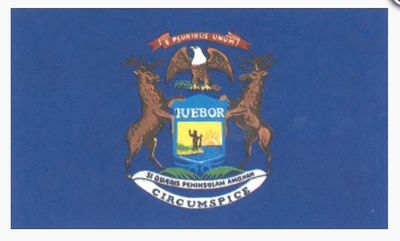 Michigan 3&#39; x5&#39; State Flag