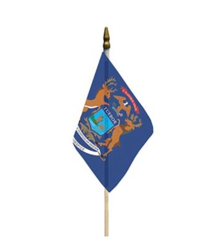 FLAG - MICHIGAN 4 X 6