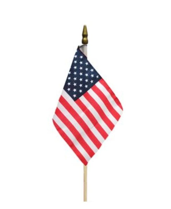 US 4x6&quot; FLAG