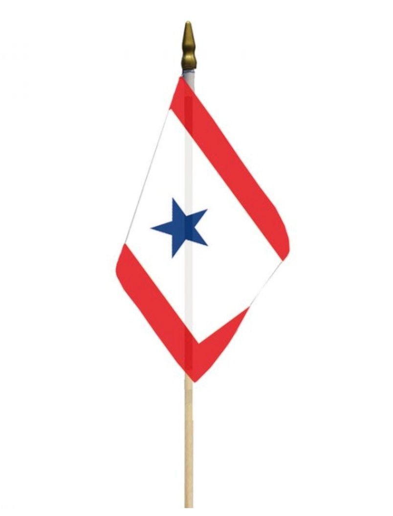 FLAG 12in by 18in FAMILY MEMBER IN SERVICE