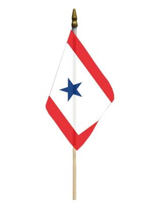 FLAG 12in by 18in FAMILY MEMBER IN SERVICE