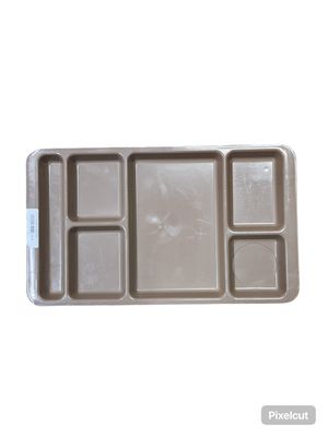 PLASTIC TRAY/COY