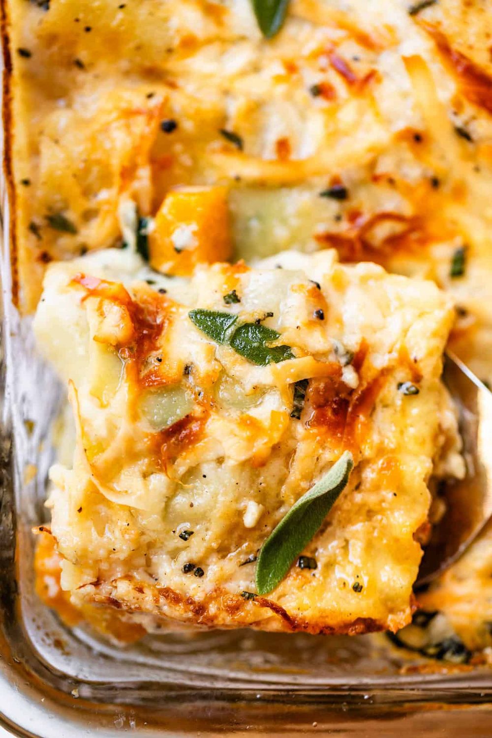 Thursday, October 29th  - Butternut Squash Lasagna