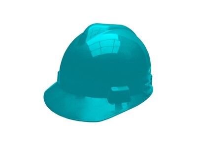 Total Safety Helmet- TSP608