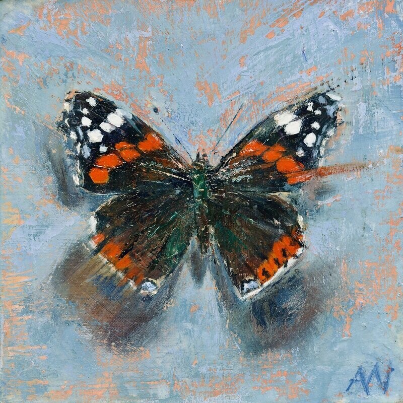 THE RED ADMIRAL ON BLUE | Art Card