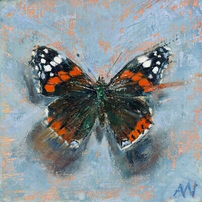 THE RED ADMIRAL ON BLUE | Art Card