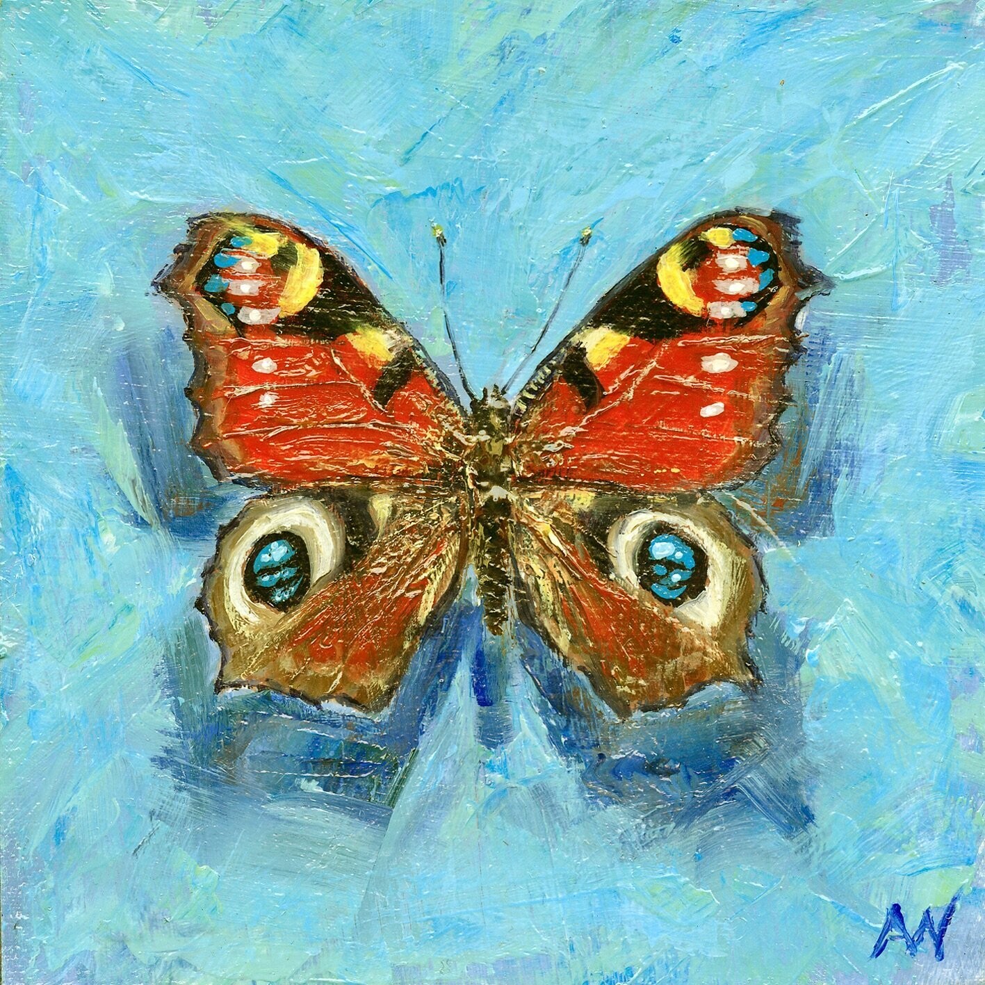 THE EUROPEAN PEACOCK | Art Card