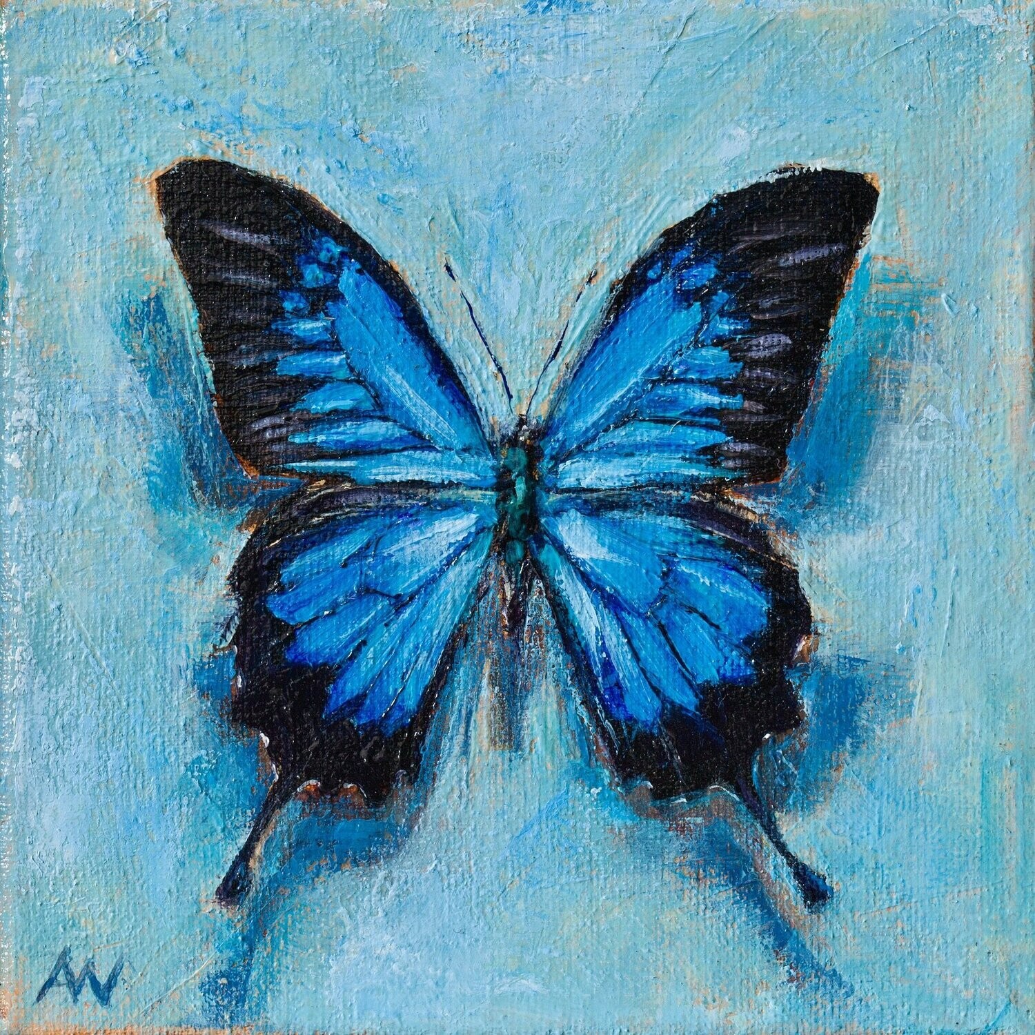 SET OF 5 ART CARDS | VARIOUS BUTTERFLIES