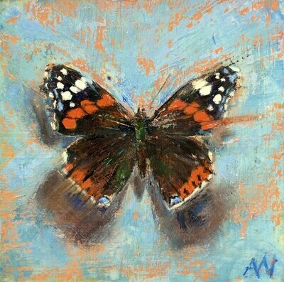 THE RED ADMIRAL ON BLUE | Certified Art Giclée