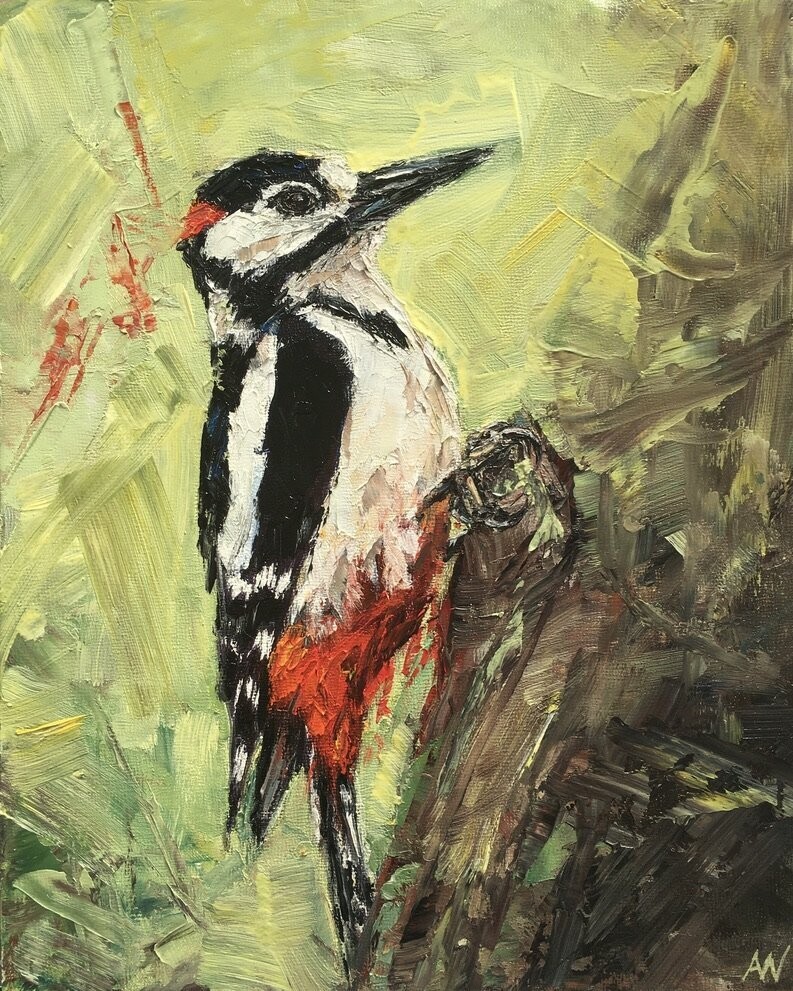 GREAT SPOTTED WOODPECKER | Art Card