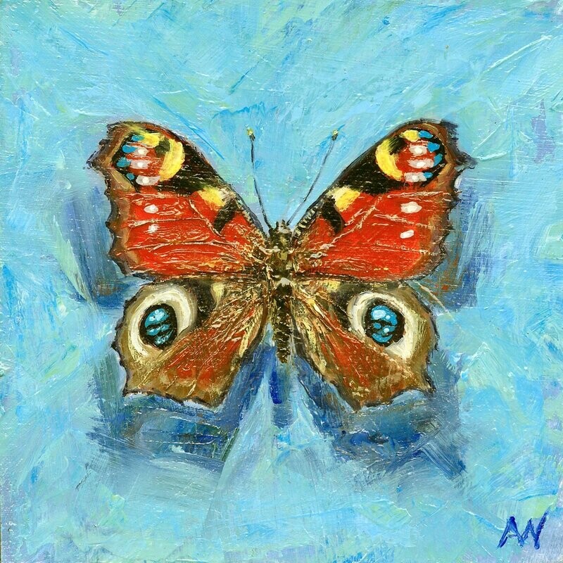 THE EUROPEAN PEACOCK / DAGPAUWOOG | Original Artwork