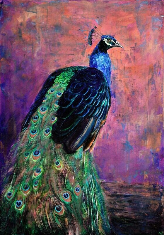 MR. SANDERS' PEACOCK | Certified Art Giclée